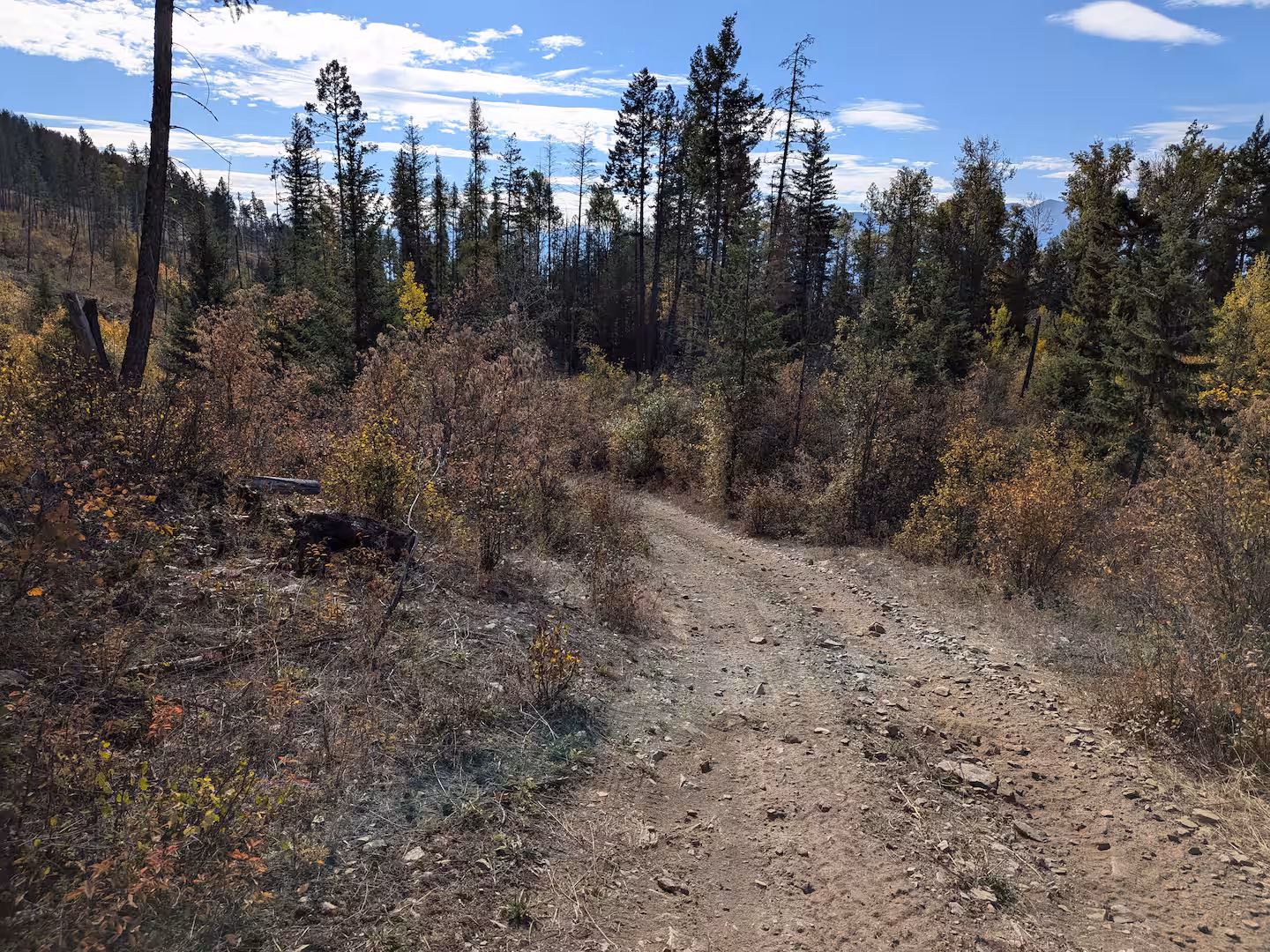 Roadway down property - Section 3